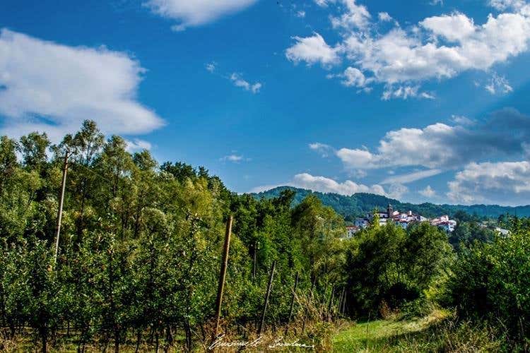 foto: Emanuele Scocchera (Borgotufi, oasi d'ospitalità molisana )