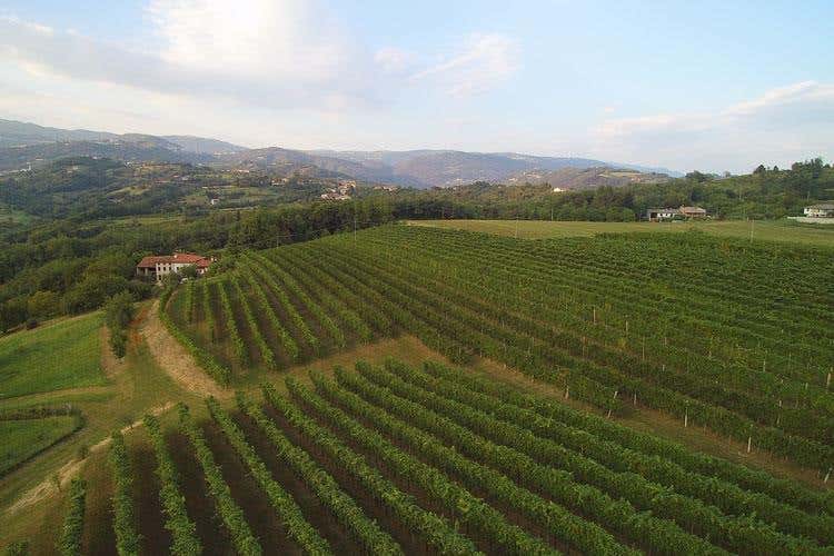 (Breganze, la prima Doc vicentina 
Torcolato e Vespaiolo, i simboli)