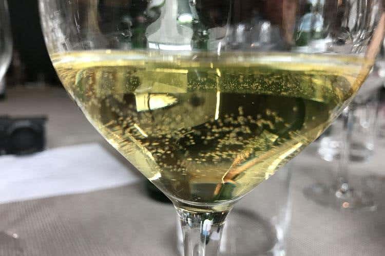 (Ca' D' Gal, Moscato d'Asti da tutto pasto 
dalla grande capacità di invecchiamento)