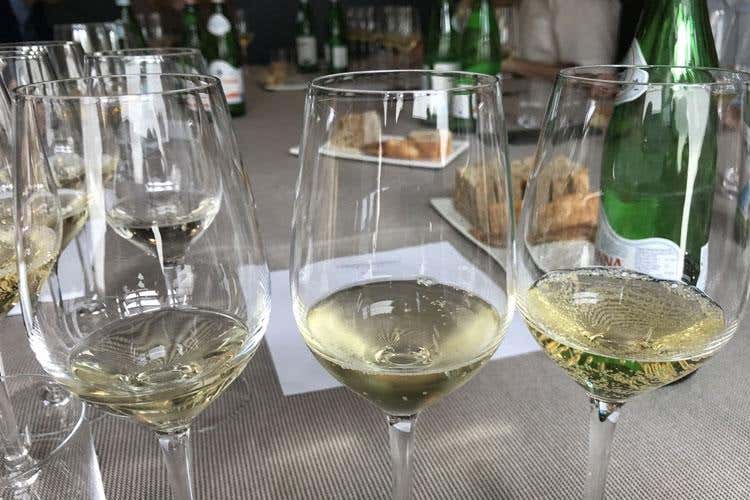 (Ca' D' Gal, Moscato d'Asti da tutto pasto 
dalla grande capacità di invecchiamento)