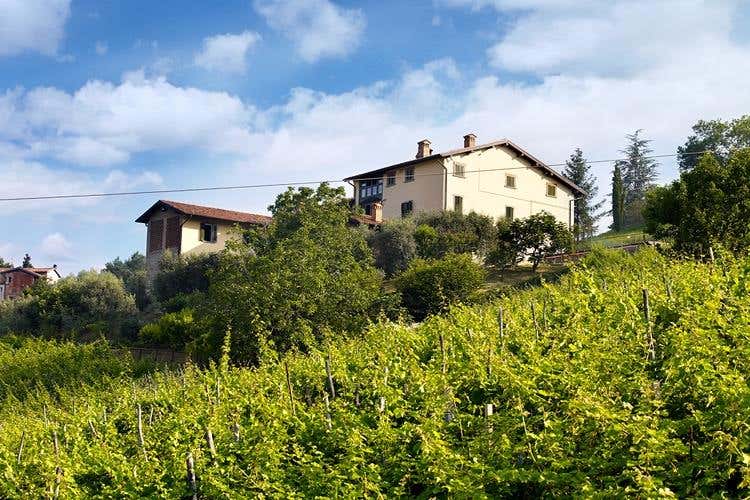 Cantina Il Cipresso di Scanzo si amplia Dal 2018 tutti i vini saranno biologici