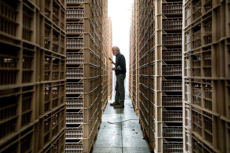 Cantina Il Cipresso di Scanzo si amplia Dal 2018 tutti i vini saranno biologici