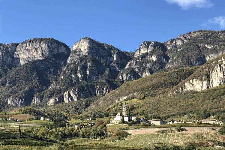 (Cantina Kurtatsch 
Ad ogni zona il vino giusto)