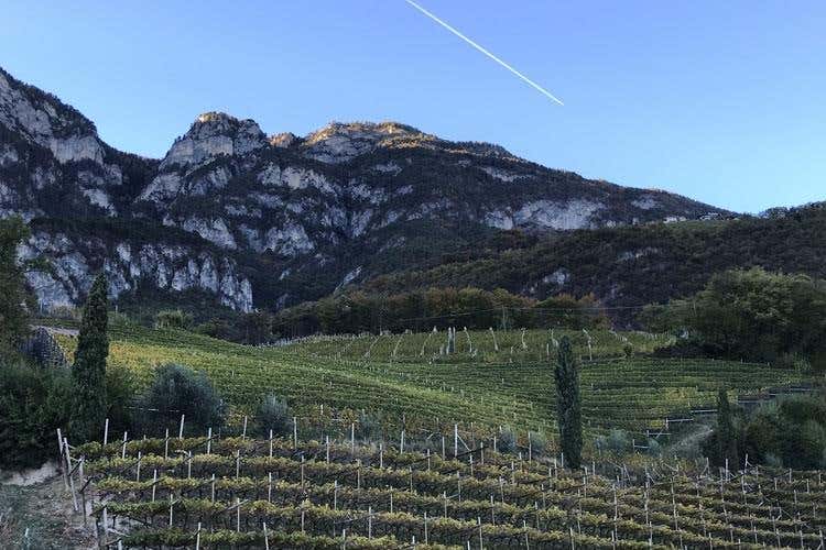 (Cantina Kurtatsch 
Ad ogni zona il vino giusto)