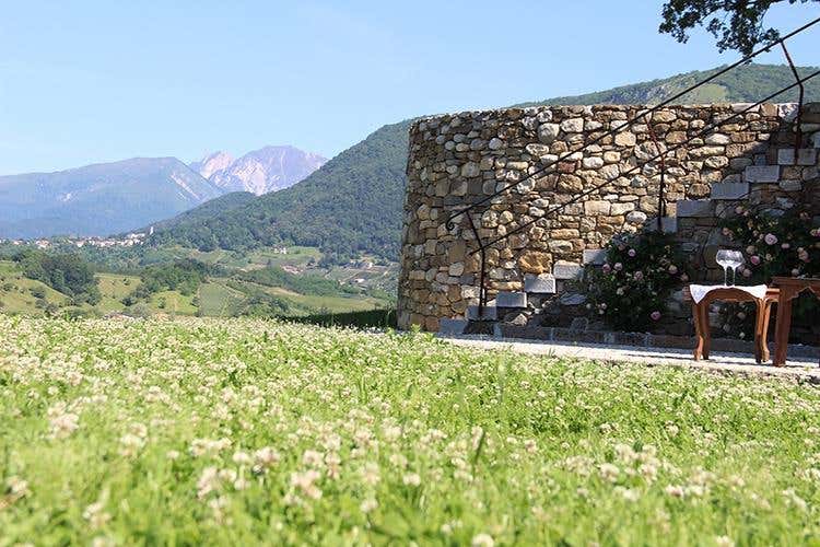 Cantine Gori, esperienza di sensi tra cuore, eccellenza e tradizione