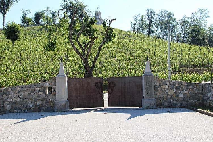 Cantine Gori, esperienza di sensi tra cuore, eccellenza e tradizione