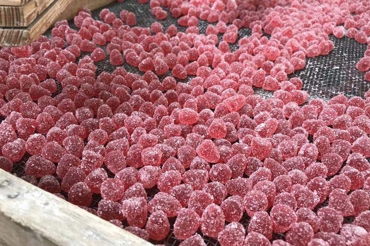 Caramelle e cioccolato d’autore 
La Leone fa tornare bambini