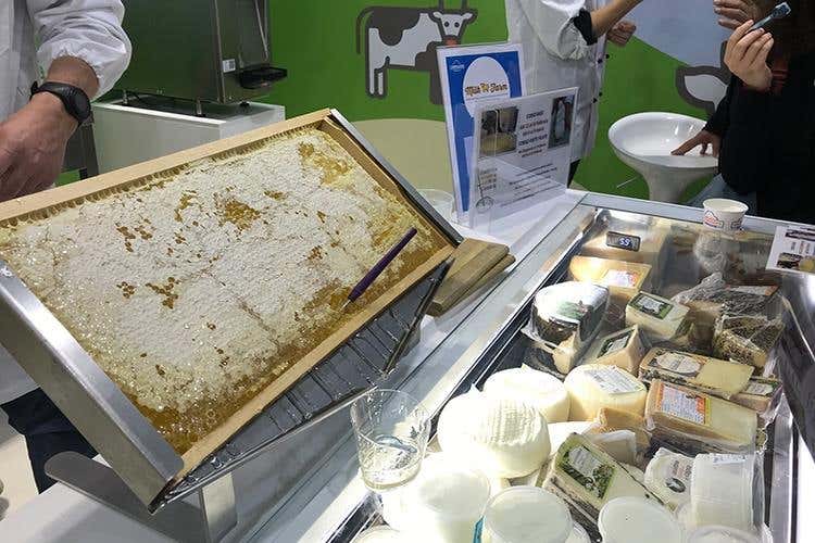 (Carpigiani, formazione a ciclo continuo 
e attrezzature che guardano avanti)