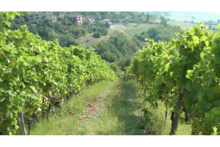 Poggio Ridente