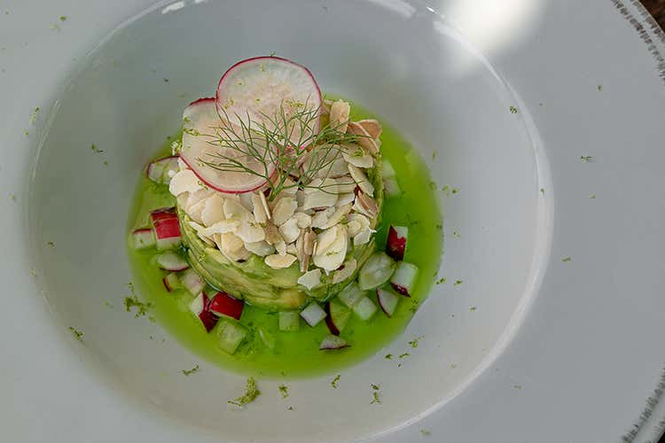 Tartare di salmone, avocado, mandorle tostate e finocchietto selvatico (Cena (o dopo cena) al Mediterraneo 
Oasi di pace per l'estate romana)