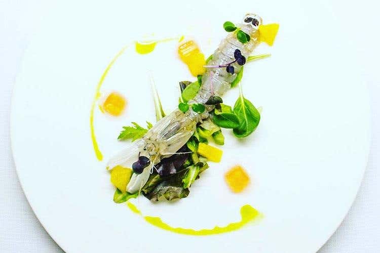 Crudo di cicala di mare, misticanza di stagione, solido di spritz e clorofilla di prezzemolo (Chalet La Rotonda 1962 a Porto Recanati 
Un menu allegro come i proprietari)