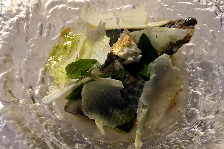 Caprese di sgombro (Champagne De Venoge 
alla Trattoria di Sacerno)