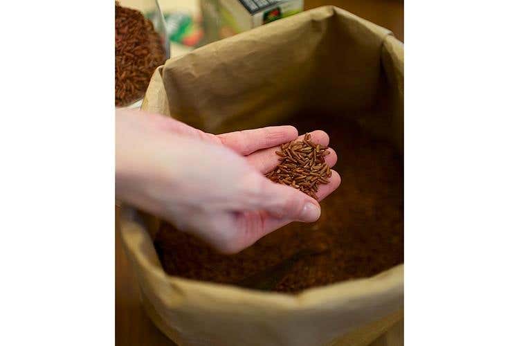 (Chicchi di Natura 
La nuova linea di Riso Gallo)