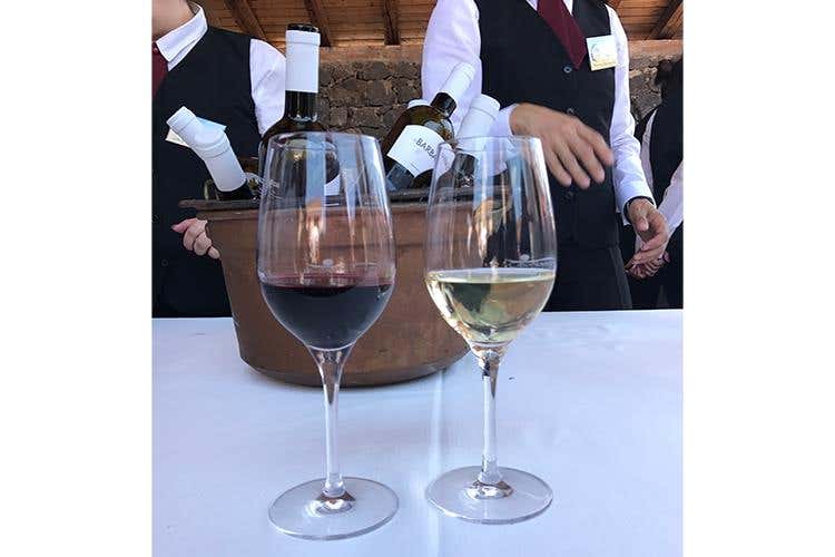 Cibo Nostrum, oltre 20mila presenze 
Un G7 della cucina con mille cuochi