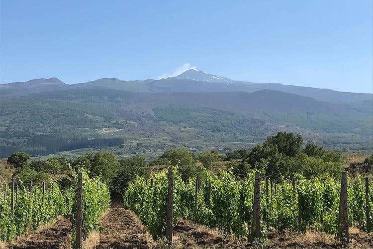 Cibo Nostrum, oltre 20mila presenze 
Un G7 della cucina con mille cuochi