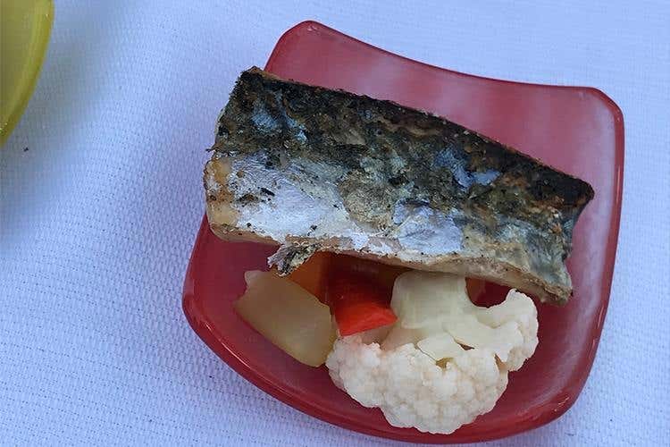 Cibo Nostrum, oltre 20mila presenze 
Un G7 della cucina con mille cuochi