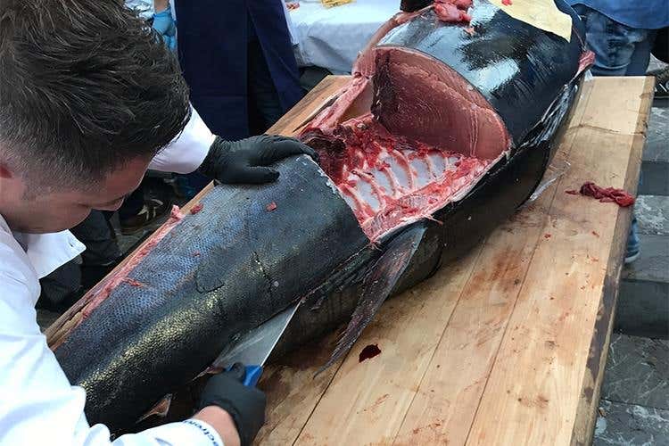 Cibo Nostrum, oltre 20mila presenze 
Un G7 della cucina con mille cuochi