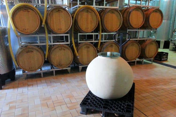 Clayver, nuovo sistema modulare 
per ottimizzare gli spazi in cantina