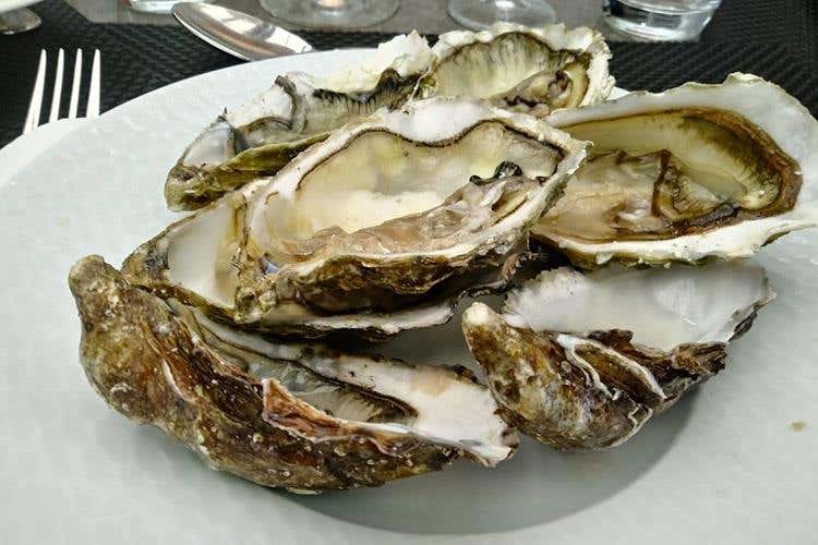 Buffet al ristorante La Rocca (Club Med, l'altra faccia della medaglia 
Un'opportunità di crescita professionale)