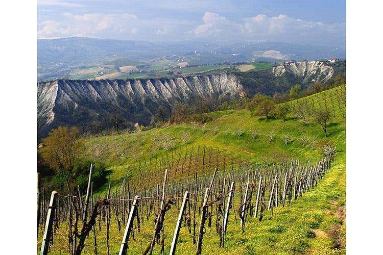 (Colli Bolognesi e Pignoletto 
Si fa squadra per crescere e migliorarsi)