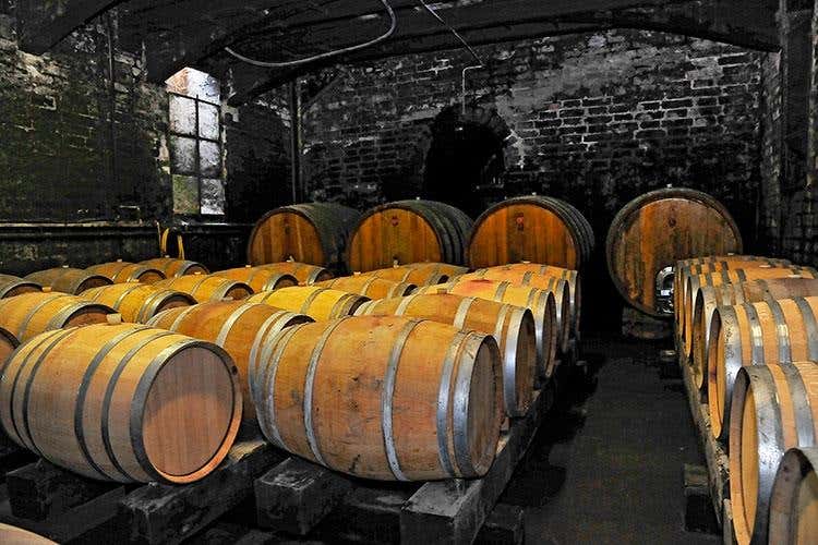 (Colli Bolognesi e Pignoletto 
Si fa squadra per crescere e migliorarsi)