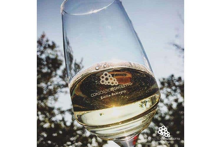 (Colli Bolognesi e Pignoletto 
Si fa squadra per crescere e migliorarsi)