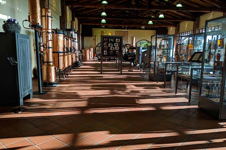 In visita alle Distillerie Berta (Collisioni, retroscena “food” )