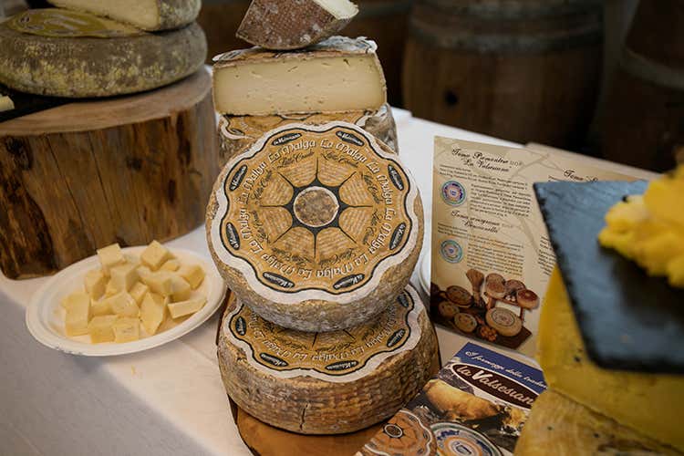 Cheese day - foto: Ellade Photo-Eleonora Racca (Collisioni, retroscena “food” )