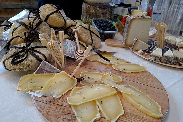 Cheese day (Collisioni, retroscena “food” )