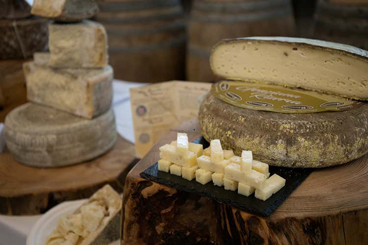 Cheese day - foto: Ellade Photo-Eleonora Racca (Collisioni, retroscena “food” )