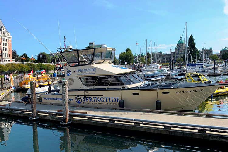 Victoria, spring tide (Comfort firmato Fairmont con affaccio sul Pacifico