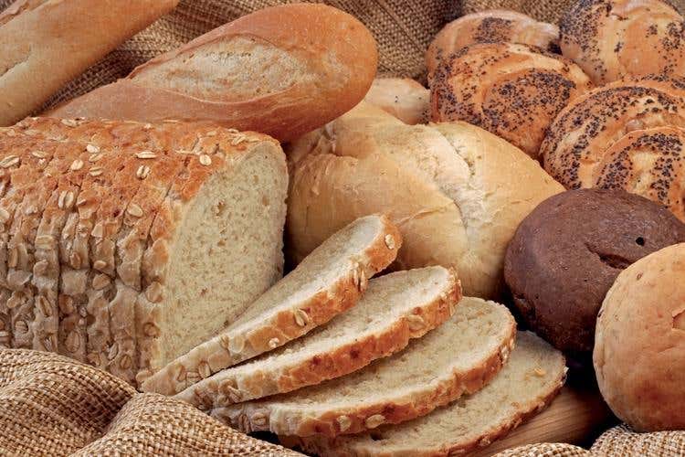 (Con la 16ª edizione di SapEur 
torna a Forlì l’attesa kermesse del gusto)