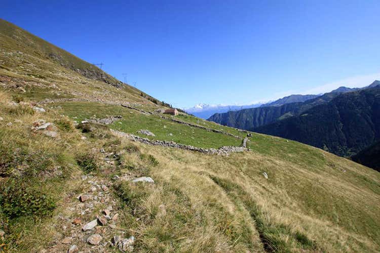 (Con la nuova Via del Bitto 
100 km di trekking nella natura)