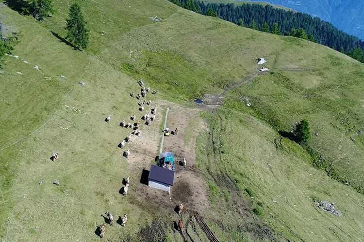 (Con la nuova Via del Bitto 
100 km di trekking nella natura)