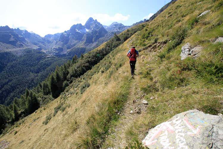 (Con la nuova Via del Bitto 
100 km di trekking nella natura)