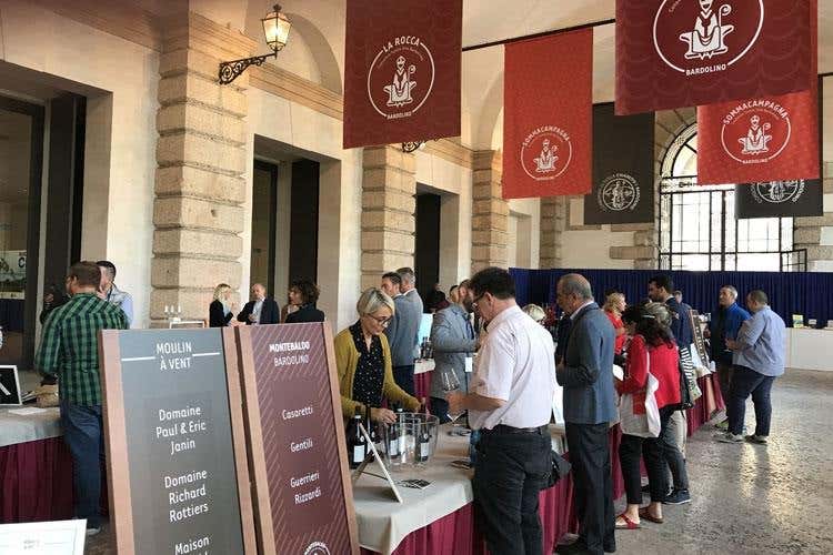 Consorzio Bardolino celebra i suoi cru Masterclass e degustazioni “storiche”
