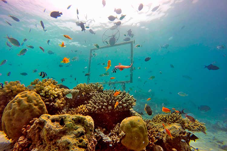 Constance Hotels & Resorts Un oceano di benessere