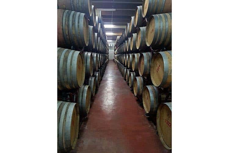 (Conti Zecca festeggia un anno di Rodinò 
La volontà è raccontare il Salento del vino)