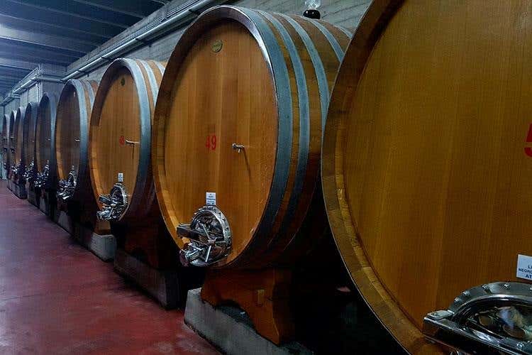 (Conti Zecca festeggia un anno di Rodinò 
La volontà è raccontare il Salento del vino)