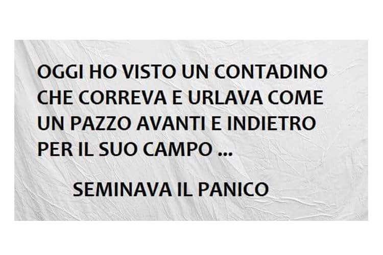 Il coronavirus contagia i social Spopolano le vignette anti psicosi