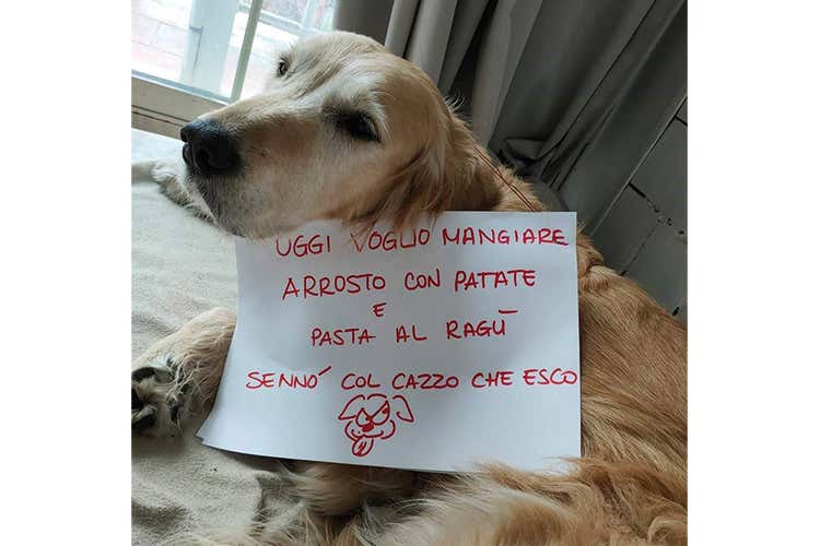 Il coronavirus contagia i social Spopolano le vignette anti psicosi
