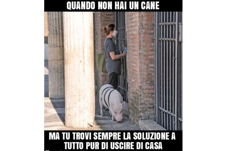 Il coronavirus contagia i social Spopolano le vignette anti psicosi