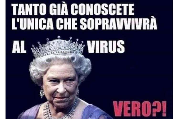 Il coronavirus contagia i social Spopolano le vignette anti psicosi