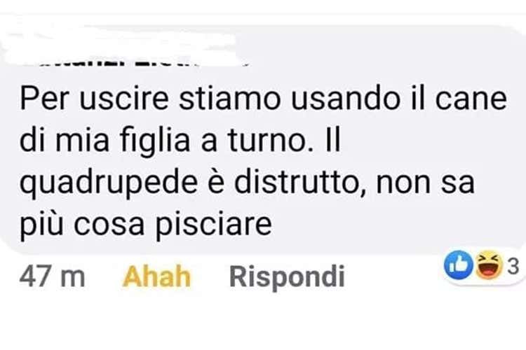 Il coronavirus contagia i social Spopolano le vignette anti psicosi