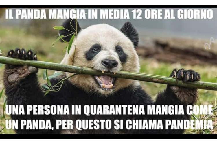 Il coronavirus contagia i social Spopolano le vignette anti psicosi
