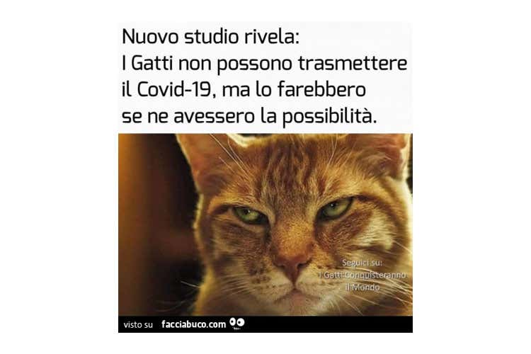 Il coronavirus contagia i social Spopolano le vignette anti psicosi