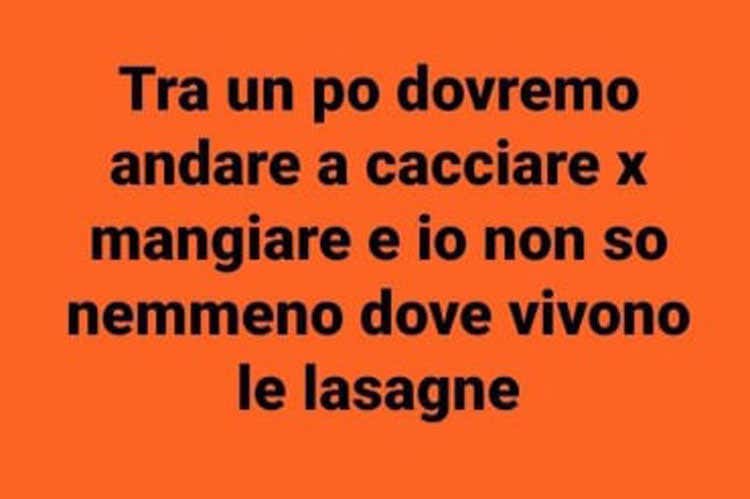Il coronavirus contagia i social Spopolano le vignette anti psicosi