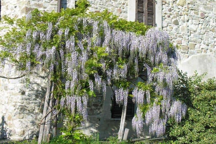 Costalta B&B a Compiano Cortesia e ospitalità nel parmense