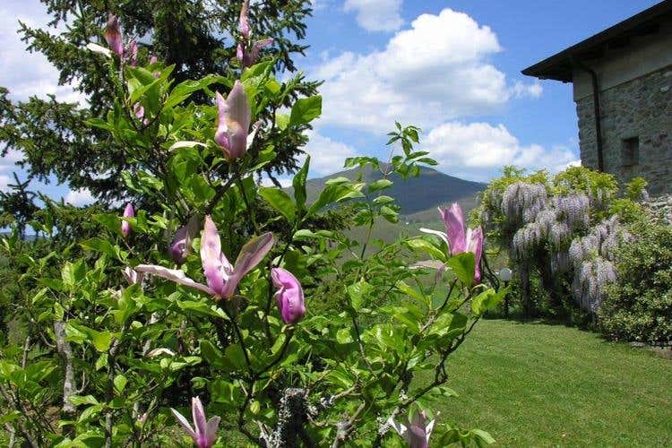 Costalta B&B a Compiano Cortesia e ospitalità nel parmense