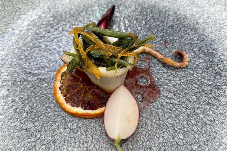 Bitter di calamari (Cucciniello, anagramma in cucina 
Tra trasgressione e comfort zone)